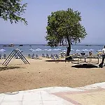 Constantinos ハニア